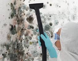 Professional Mold Removal in Pearisburg, VA